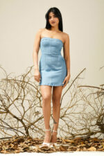 DAHLIA TUBE MINI DRESS